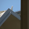 darktable.5F1YN1.jpg