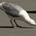 darktable.EZ8QN1.jpg