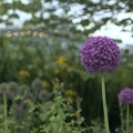 darktable.W51KN1.jpg