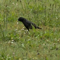 darktable.6JCPN1.jpg
