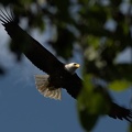 darktable.1CDWN1.jpg